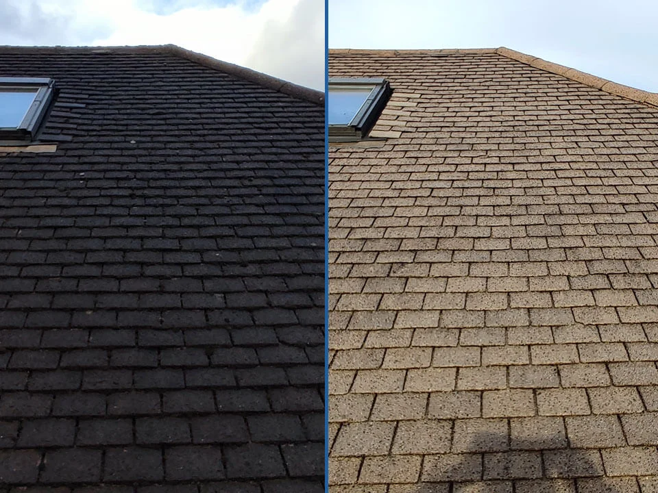 roof cleaning 